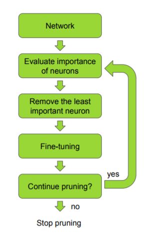 prune